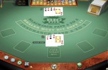Microgaming GOLD SERIES Blackjack has to be played to be believed! Ultra realistic. 