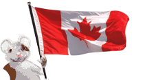 Online Casinos recommended by Canadians for Canadian players